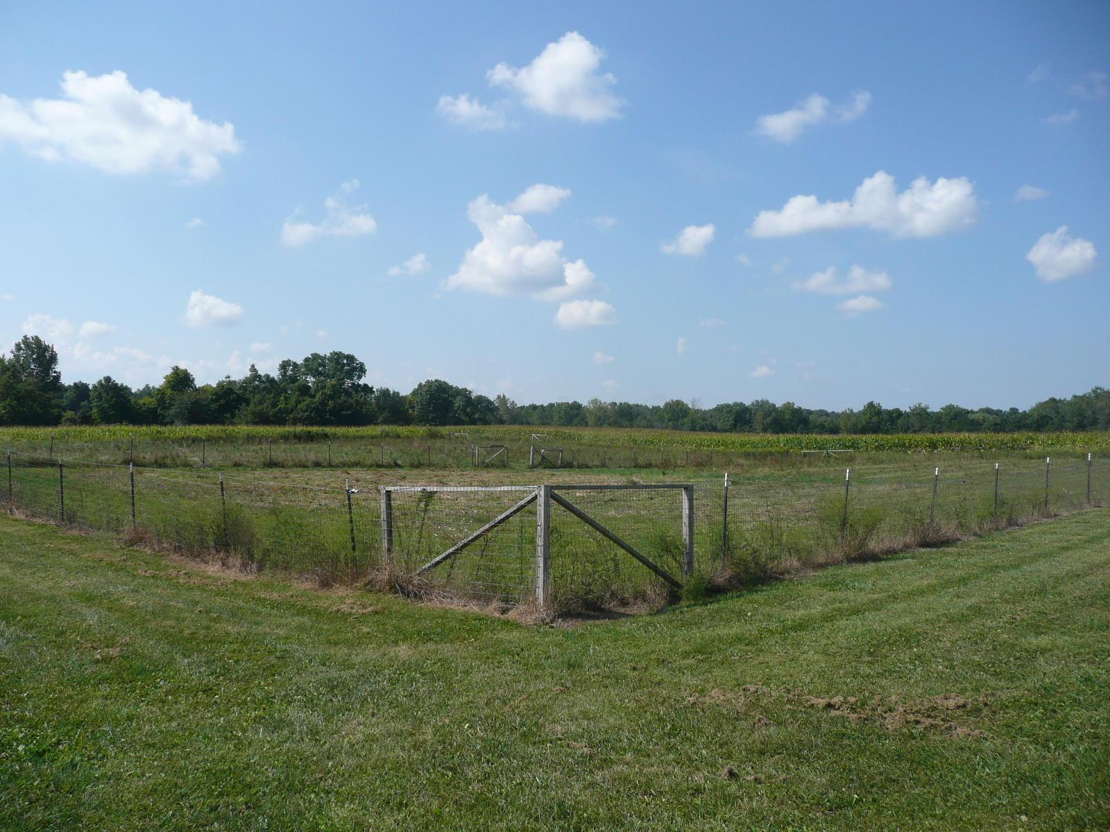 9720 State Rte 521 Sunbury, OH 43074 - Photo 18 of 57