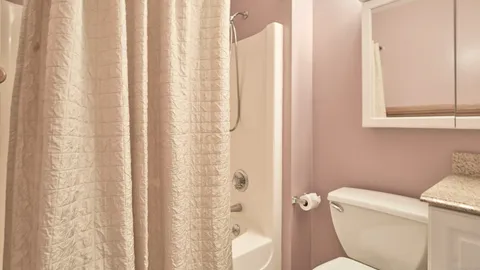 a white toilet sitting next to a shower curtain