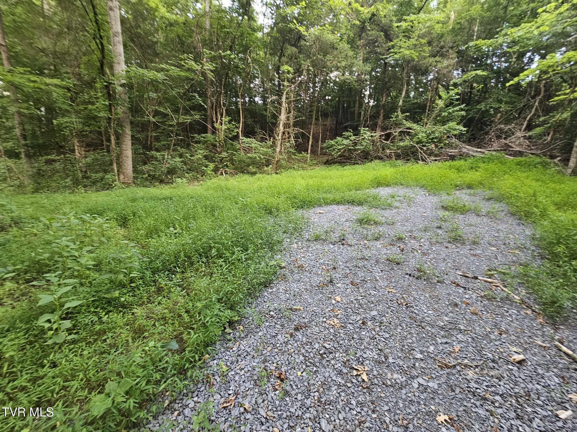 2264 Devault Bridge Road Piney Flats, TN 37686 - Photo 13 of 29 11bbf107-3c2b-44b7-bfad-42961e571f20
