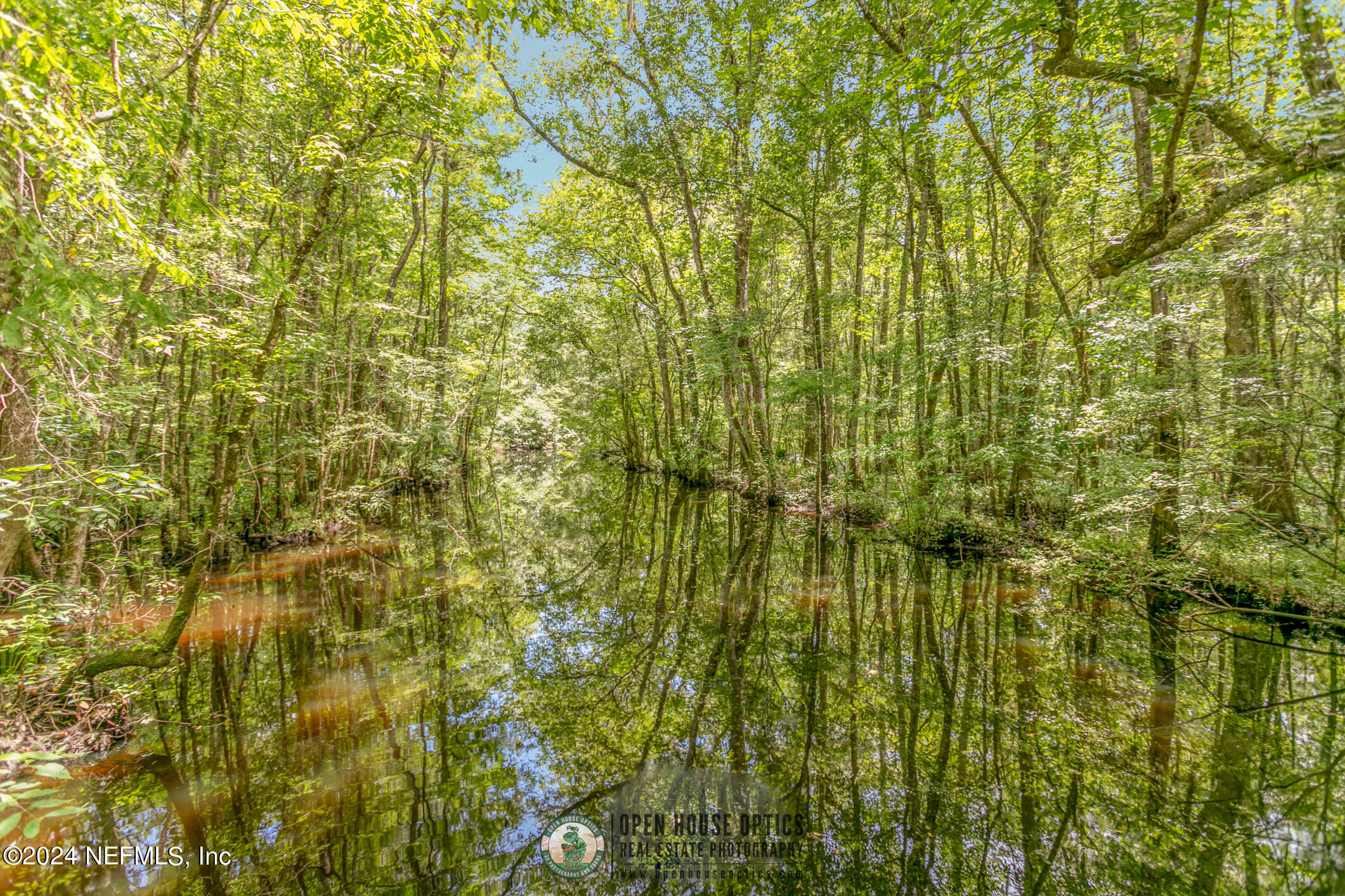 213 Foxcross Avenue St. Augustine, FL 32092 - Photo 90 of 93 OHO Amenities Library - Trailmark St Aug
