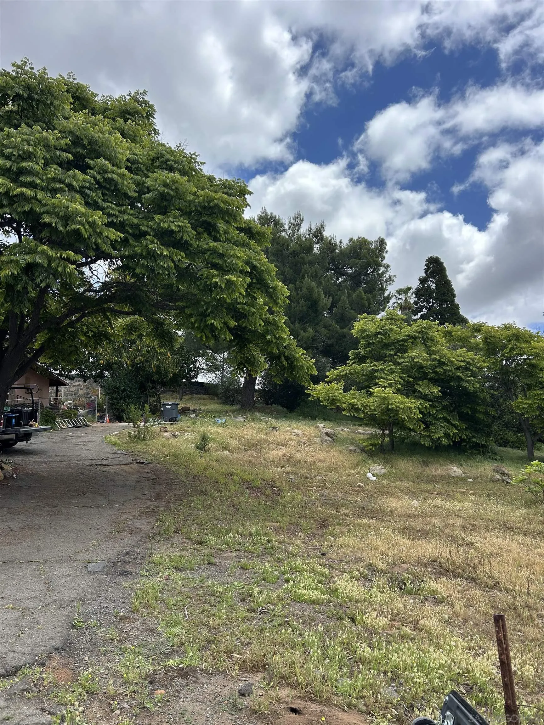5025 Crestland Drive La Mesa, CA 91941 - Photo 16 of 19 a view of a yard with plants and a trees