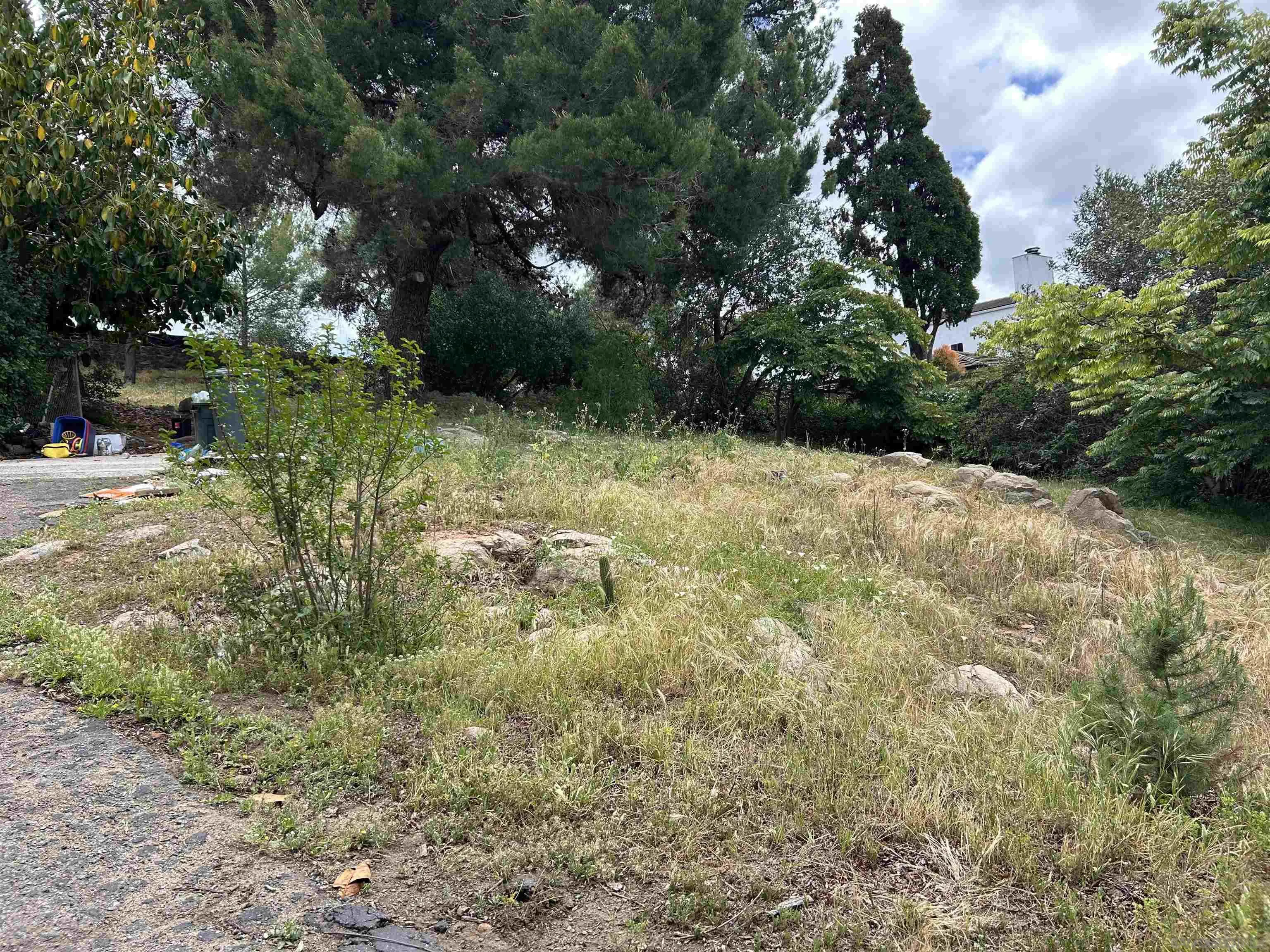 5025 Crestland Drive La Mesa, CA 91941 - Photo 17 of 19 a view of a yard with plants and large trees
