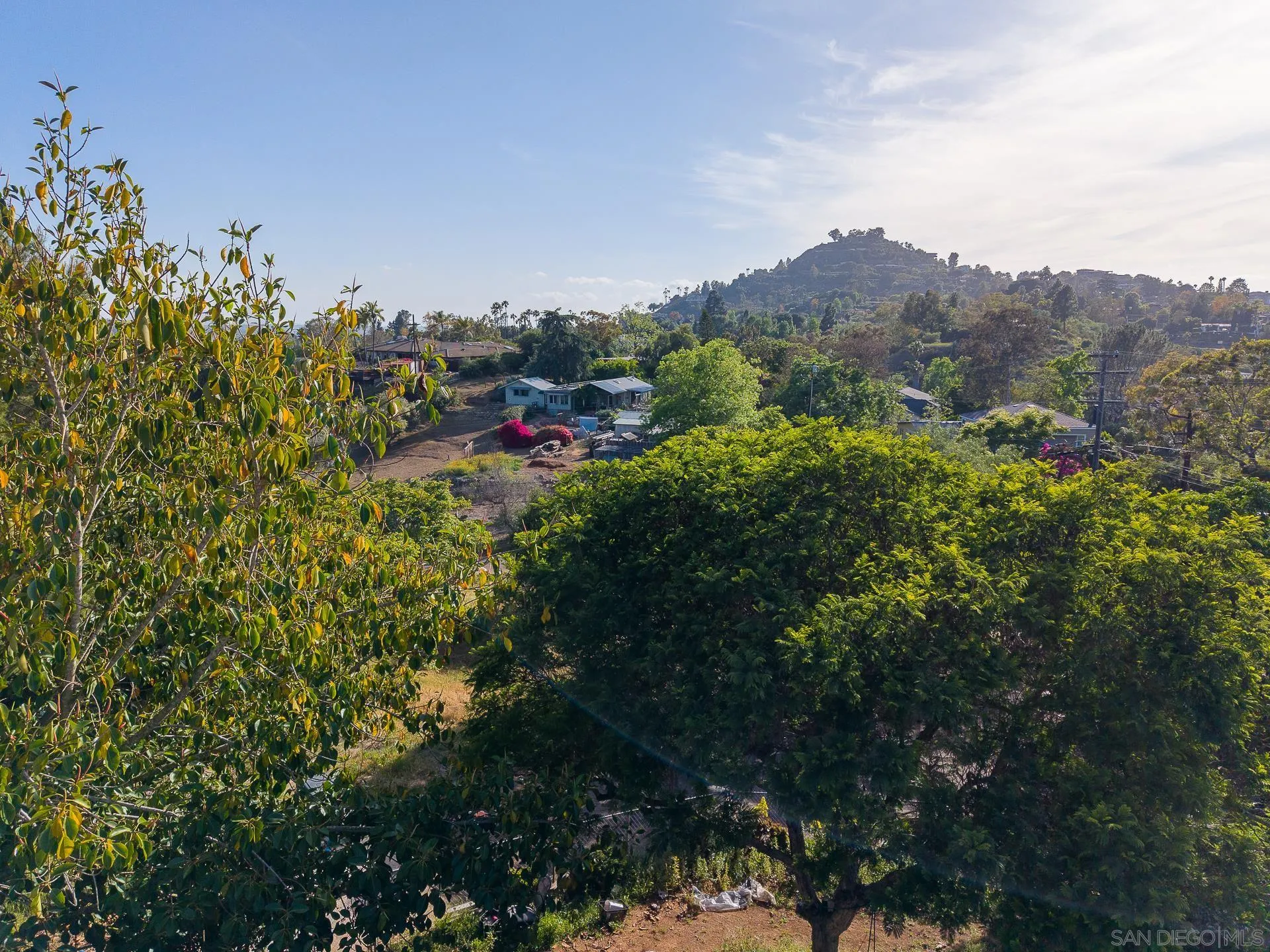5025 Crestland Drive La Mesa, CA 91941 - Photo 5 of 19 a view of a lush green field with mountains in the background