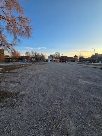 a view of a dry yard with trees