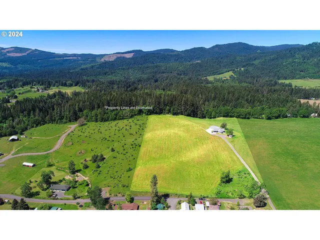 a view of a back yard