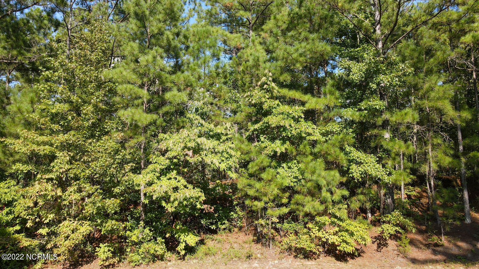 Tbd McGill Road Cameron, NC 28326 - Photo 12 of 24 McGill rd (16)
