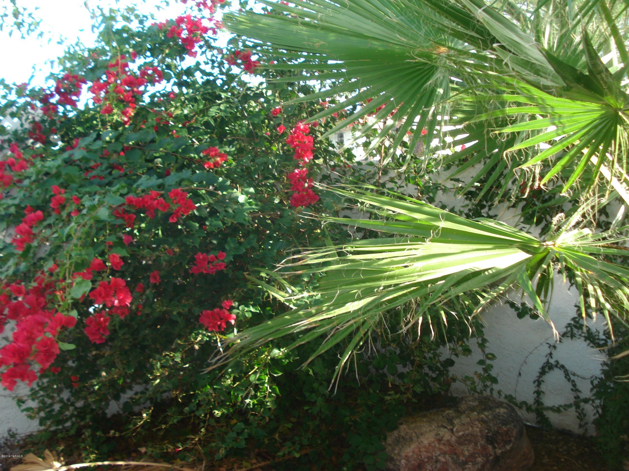 600 East River Road, Unit I Tucson, AZ 85704 - Photo 10 of 15 Gallery Image 10