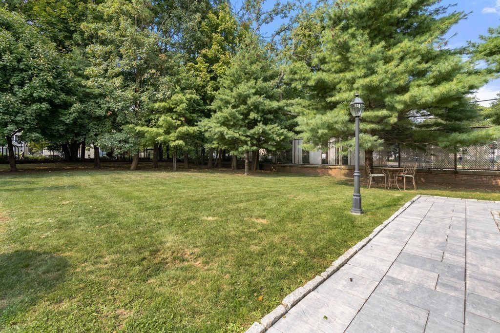 13 Mill Street, Unit 1 Boston, MA 02122 - Photo 19 of 29