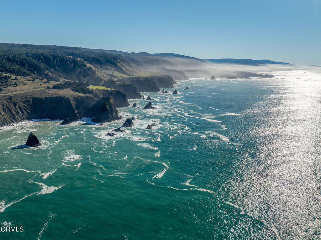 1990 South S Highway Albion, CA 95410 - Photo 52 of 57 a view of a garden with an ocean