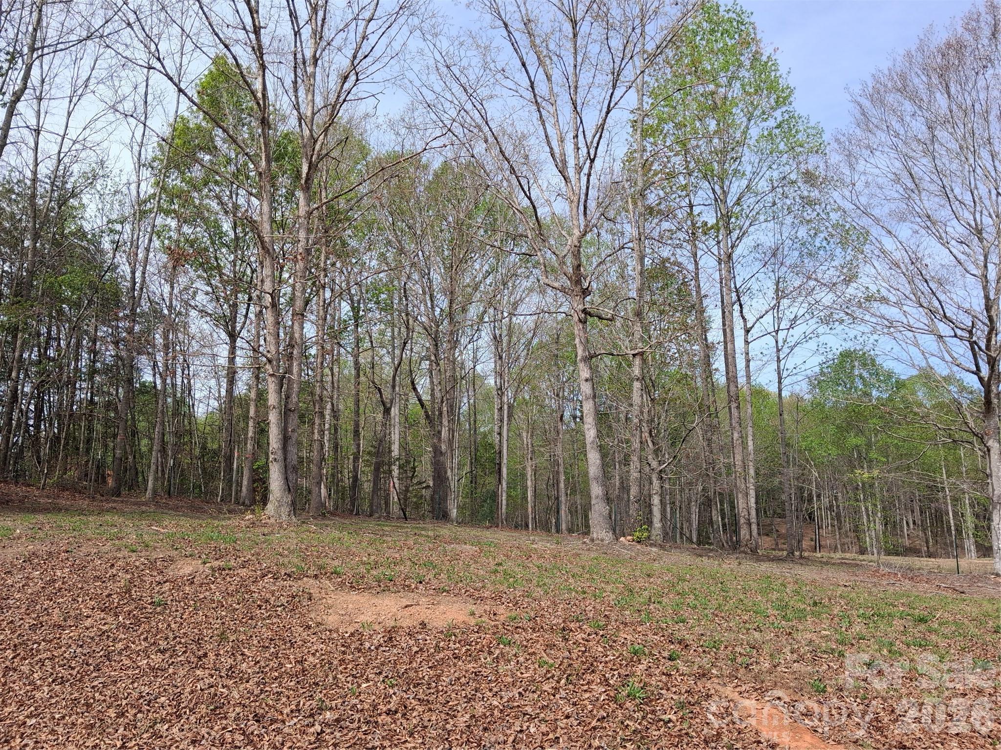 57 Hazel Drive, Unit 89 Nebo, NC 28761 - Photo 3 of 18 a backyard of a house with lots of green space
