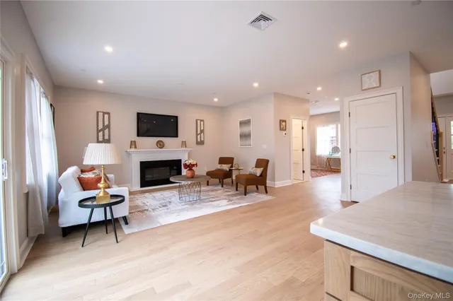 a living room with furniture and a potted plant
