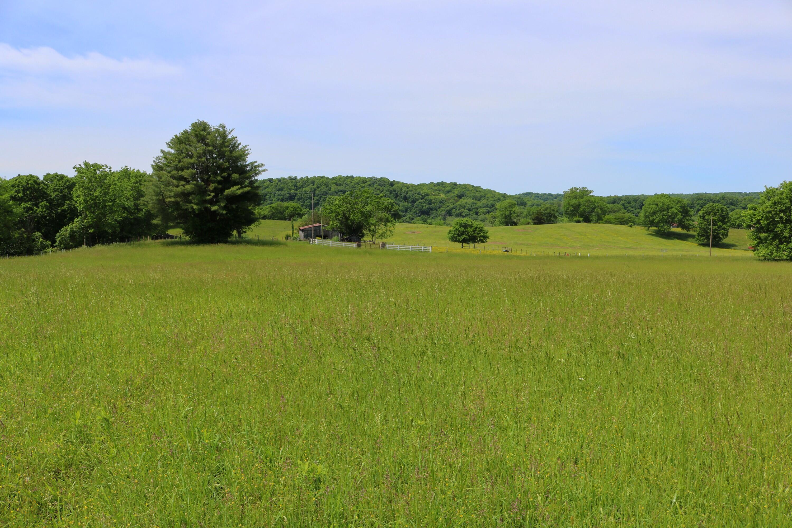 25.78 McDonald Ferry Road Frankfort, KY 40601 - Photo 5 of 14