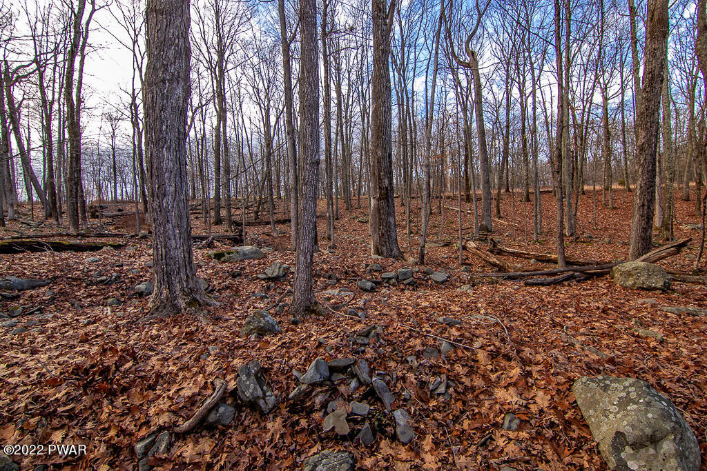 2126 Sparrow Road Bushkill, PA 18324 - Photo 50 of 55 backyard