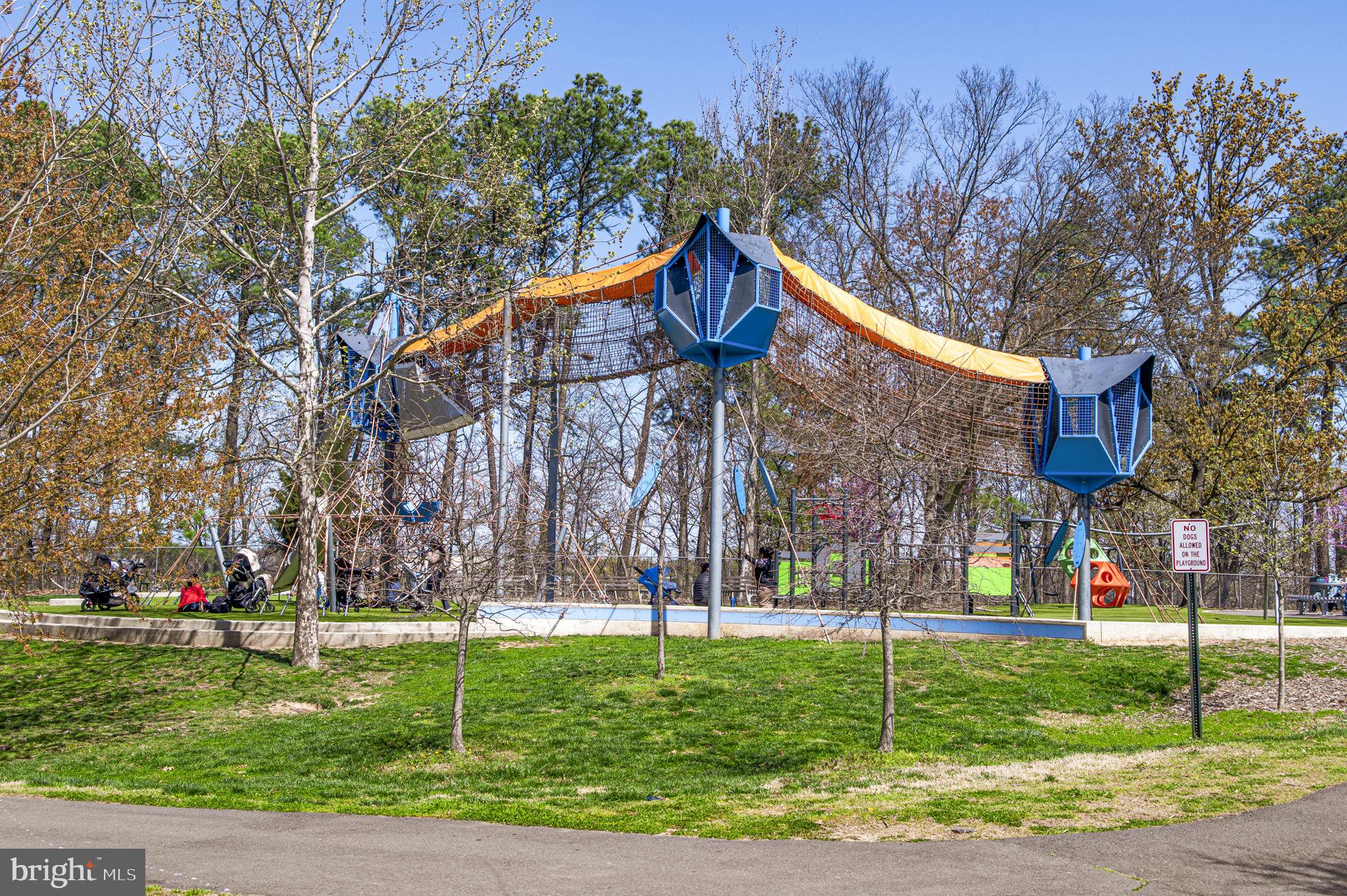 4237 32nd Road South Arlington, VA 22206 - Photo 46 of 49