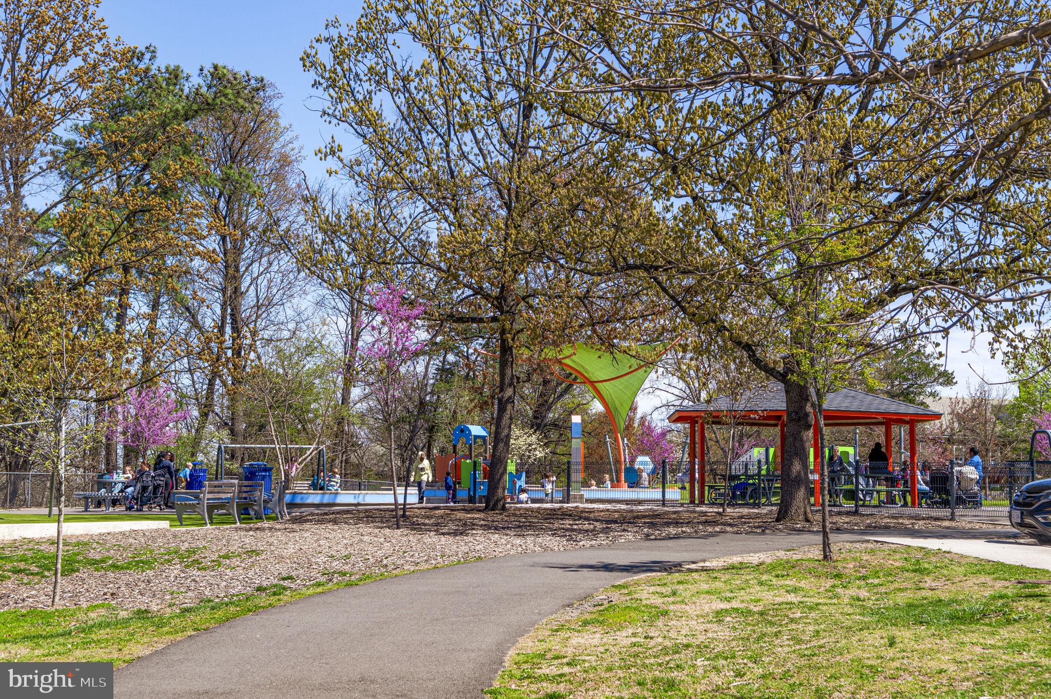 4237 32nd Road South Arlington, VA 22206 - Photo 47 of 49