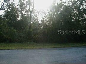 43 Southwest Ave Road Ocala, FL 34473 - Photo 1 of 1 Primary Photo