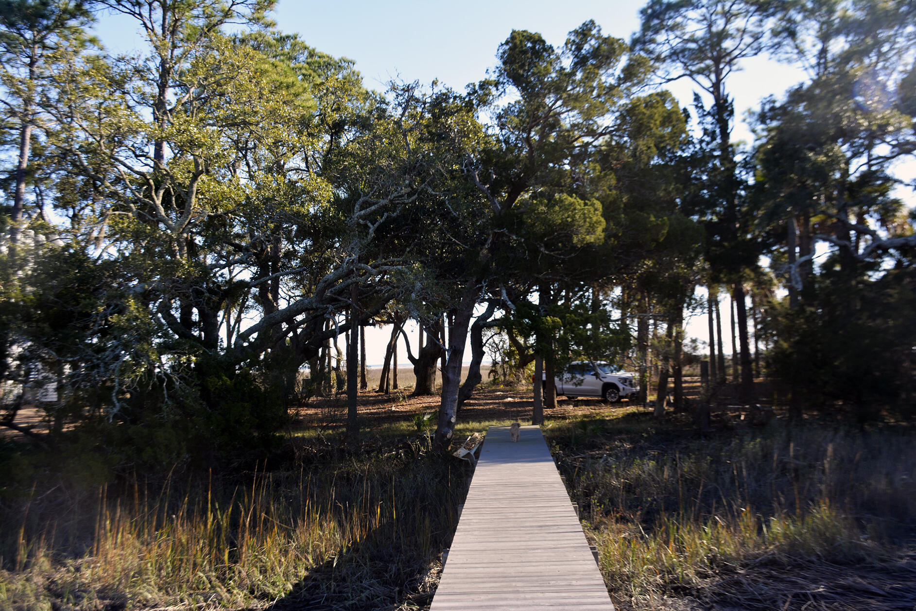 7626 Legare Road Edisto Island, SC 29438 - Photo 19 of 31 _DSC8527