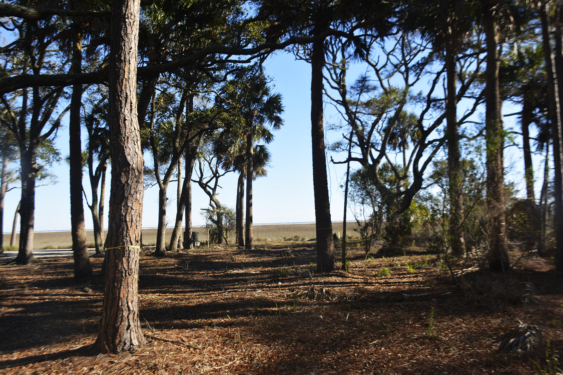 7626 Legare Road Edisto Island, SC 29438 - Photo 22 of 31 _DSC8531