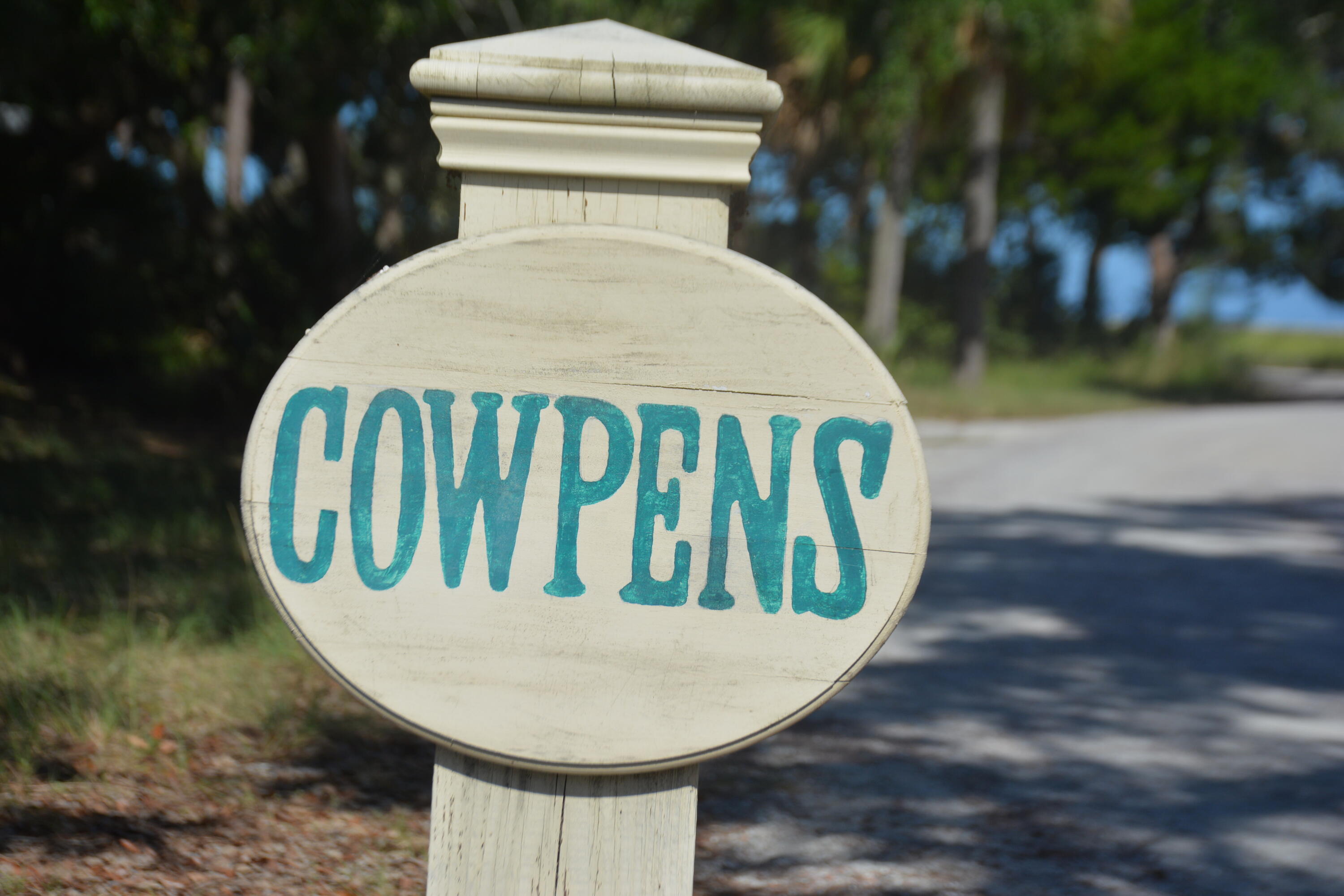 7626 Legare Road Edisto Island, SC 29438 - Photo 3 of 31 DSC_3210_1378