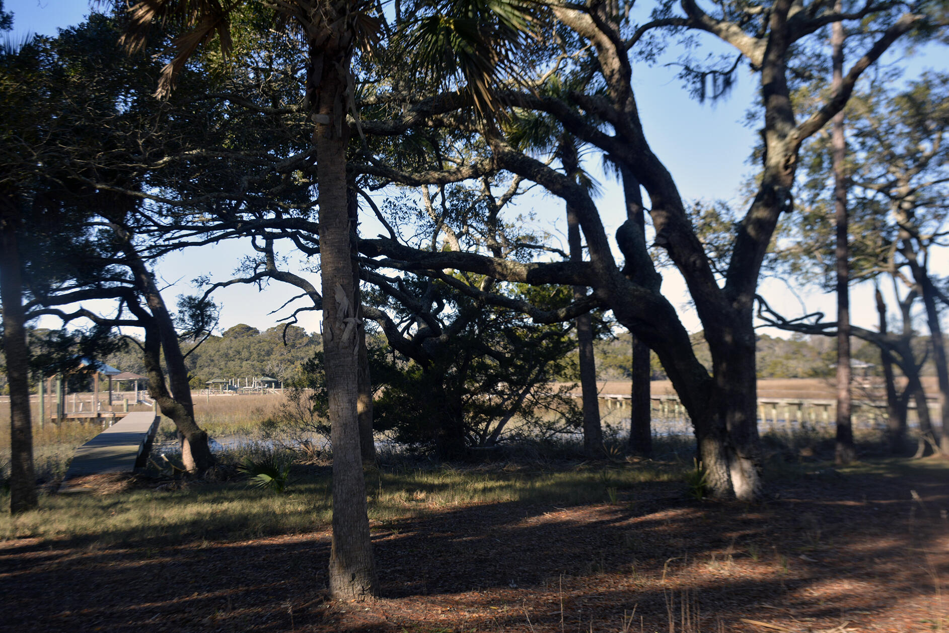 7626 Legare Road Edisto Island, SC 29438 - Photo 8 of 31 _DSC8511