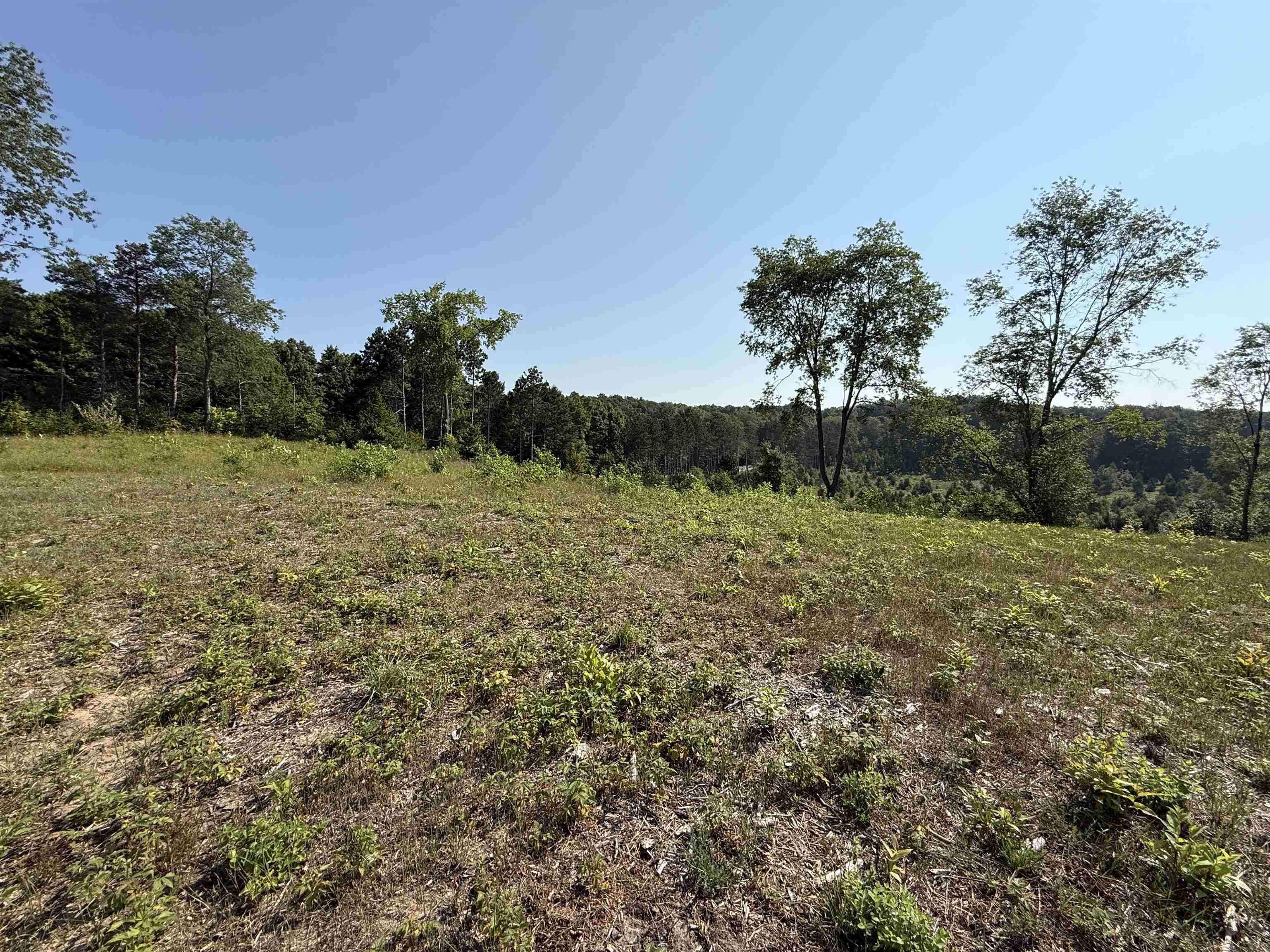 3 East Kasson Road, Unit LOT: A3 Maple City, MI 49664 - Photo 8 of 12
