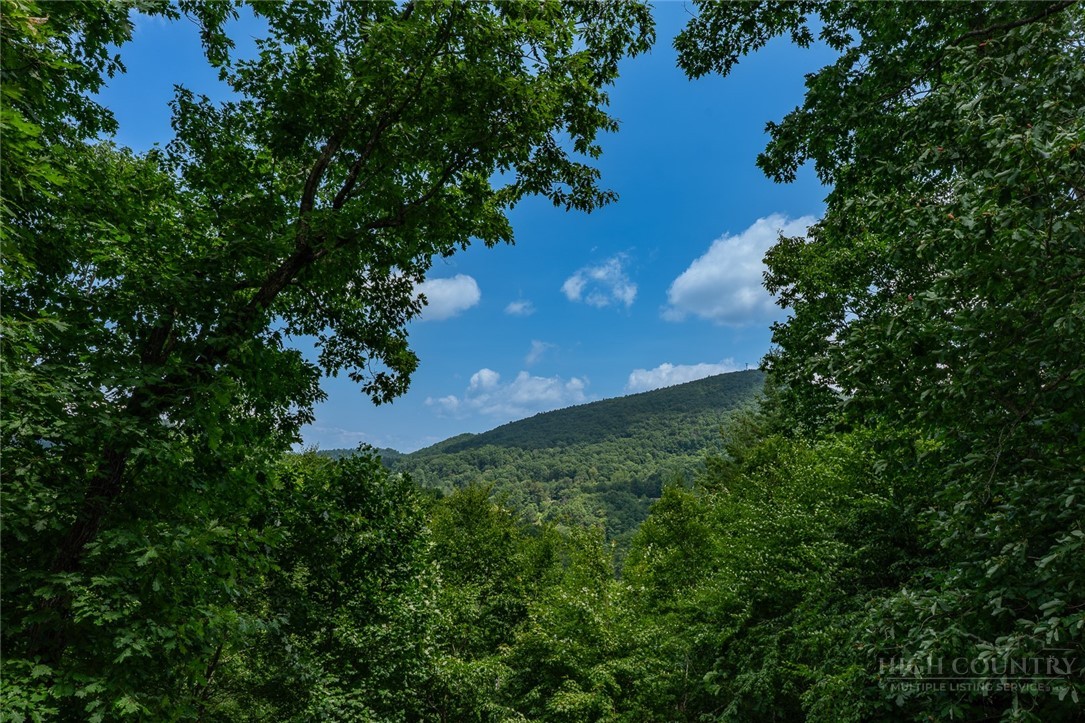 100 Raven View Boone, NC 28607 - Photo 13 of 42 Gallery Image 13