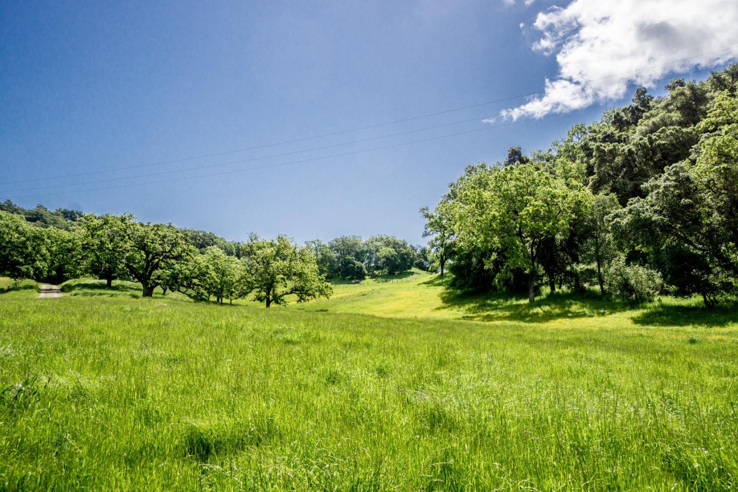 6545 Redwood Retreat Road Gilroy, CA 95020 - Photo 3 of 15 Gallery Image 3