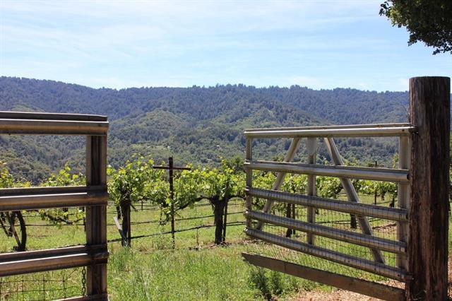 6545 Redwood Retreat Road Gilroy, CA 95020 - Photo 10 of 15 Gallery Image 10