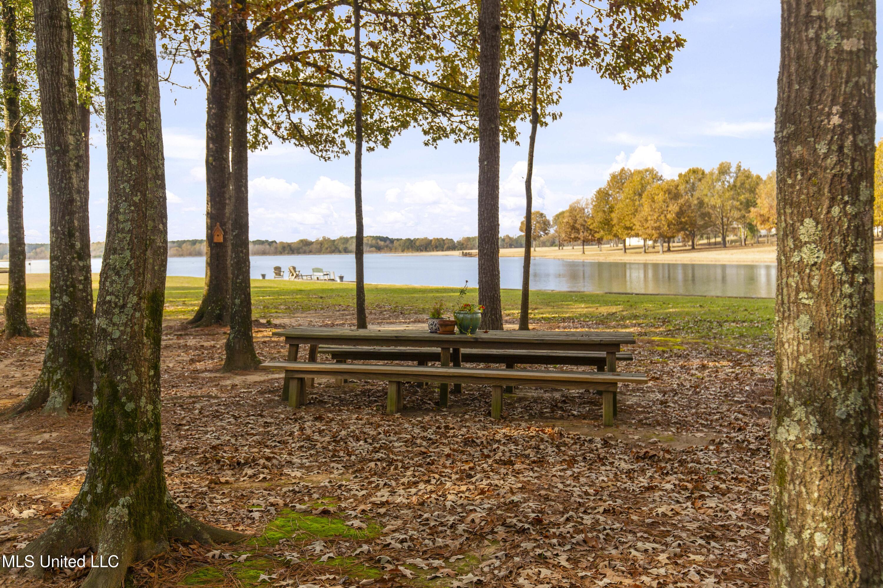 101 Lakeshore Cove Madison, MS 39110 - Photo 12 of 79 101 Lake Shore-12