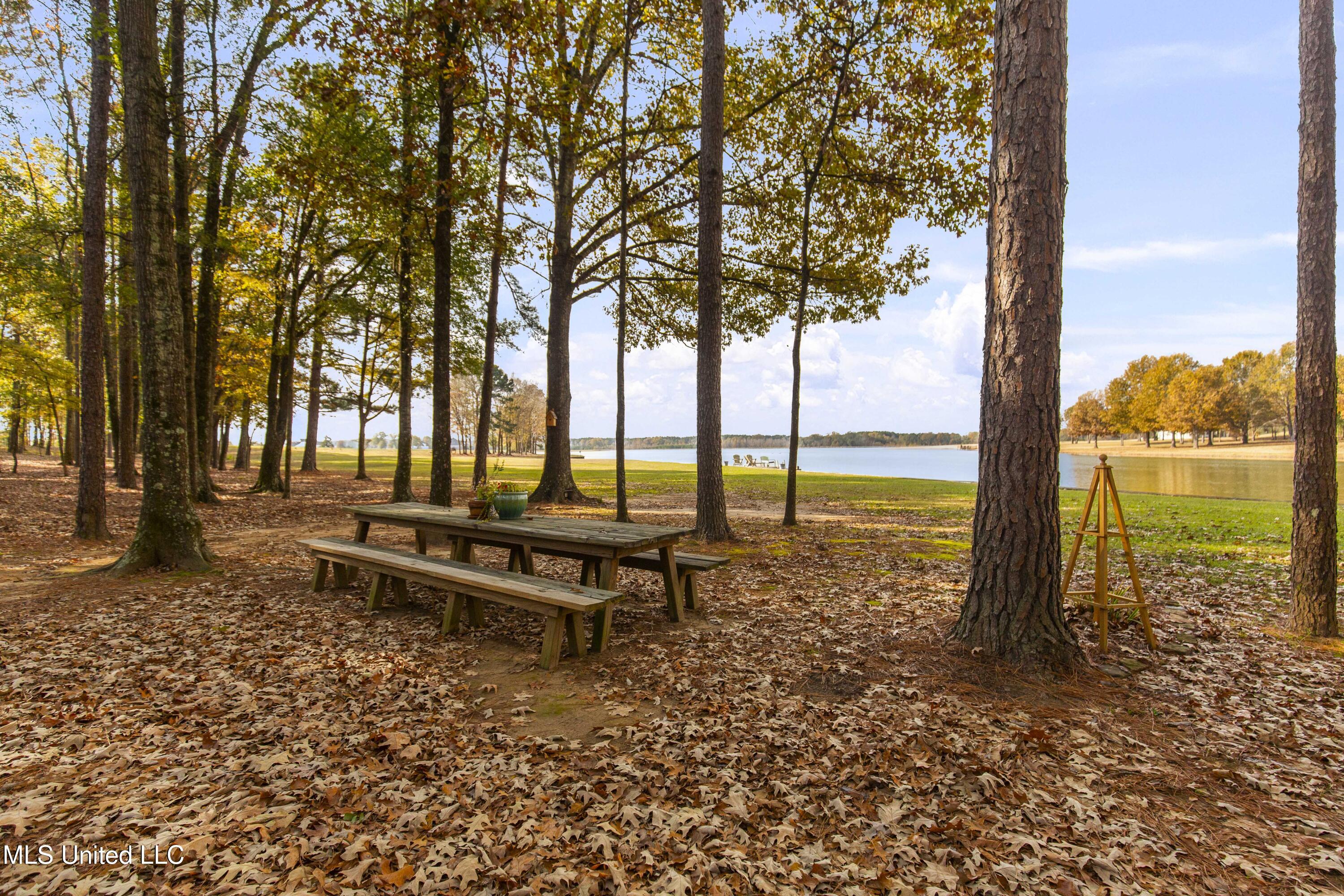 101 Lakeshore Cove Madison, MS 39110 - Photo 13 of 79 101 Lake Shore-13