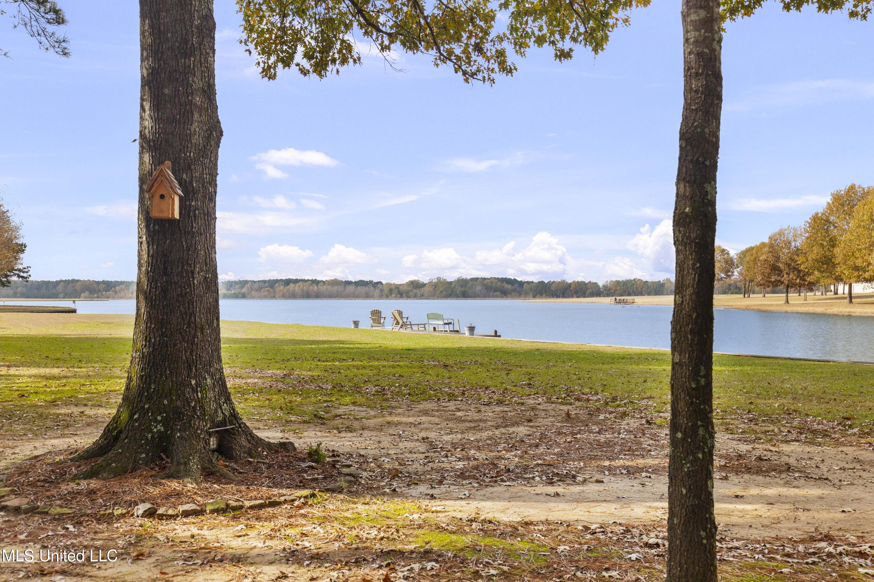 101 Lakeshore Cove Madison, MS 39110 - Photo 15 of 79 101 Lake Shore-15