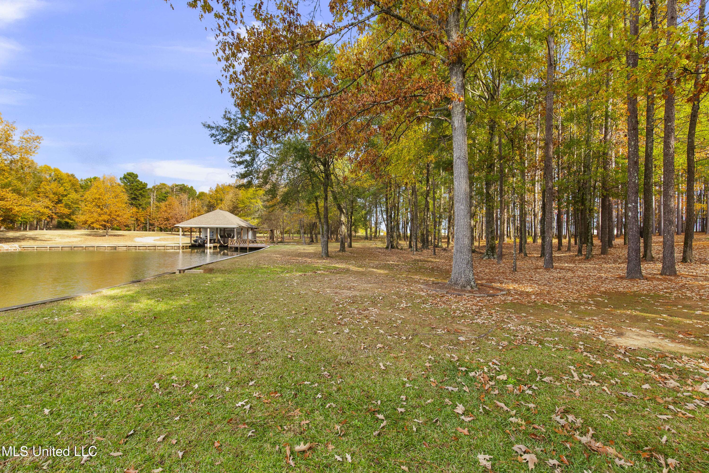 101 Lakeshore Cove Madison, MS 39110 - Photo 16 of 79 101 Lake Shore-17