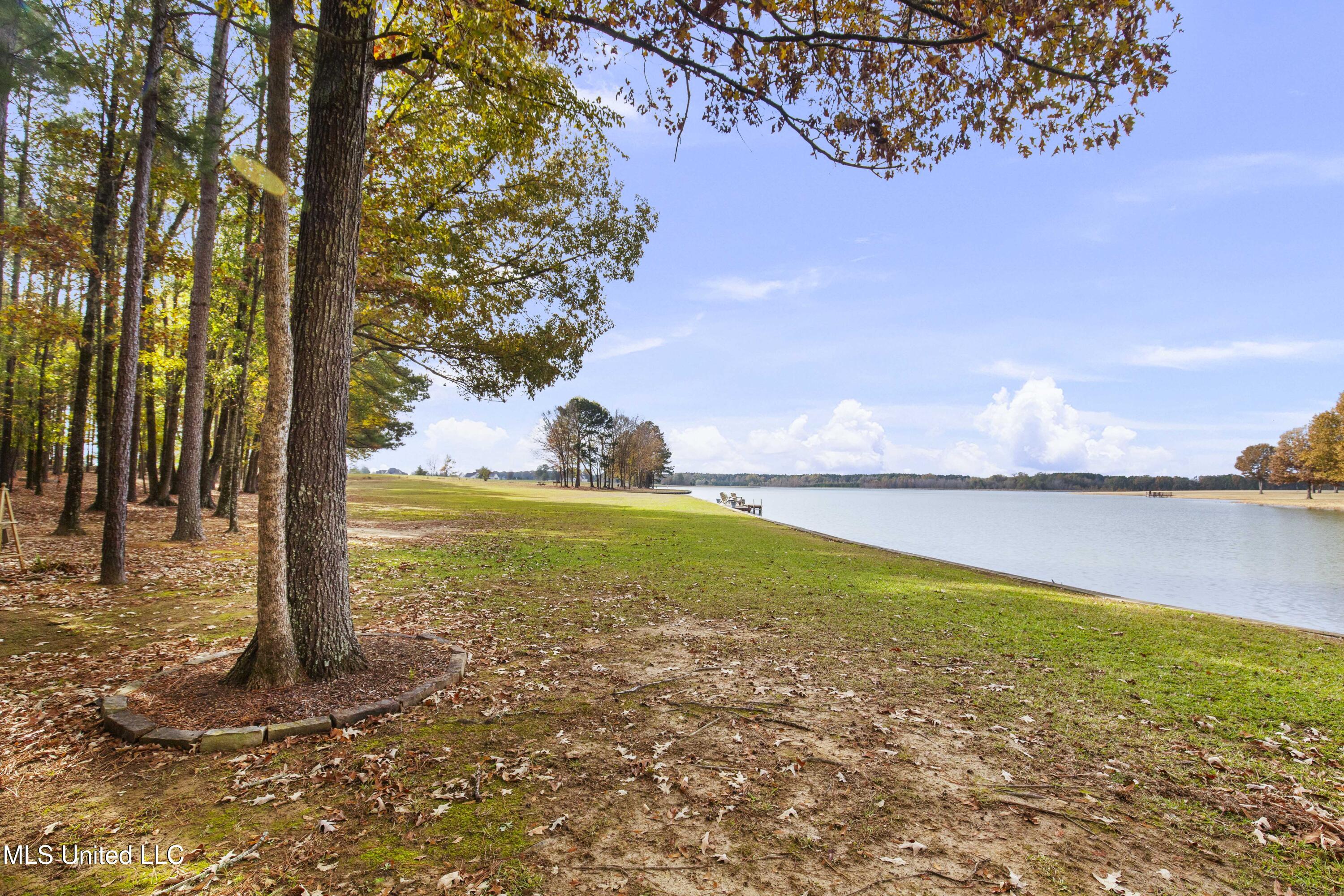 101 Lakeshore Cove Madison, MS 39110 - Photo 17 of 79 101 Lake Shore-18