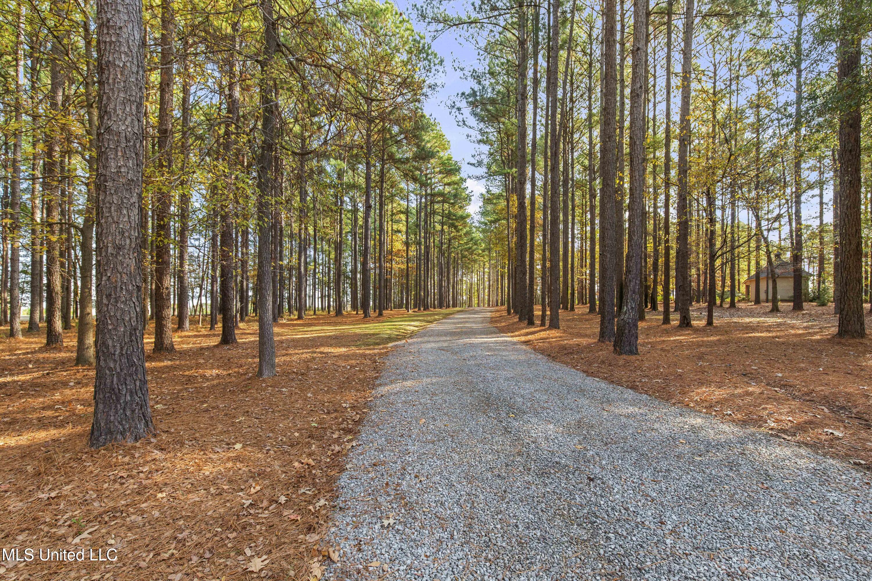 101 Lakeshore Cove Madison, MS 39110 - Photo 7 of 79 101 Lake Shore-2