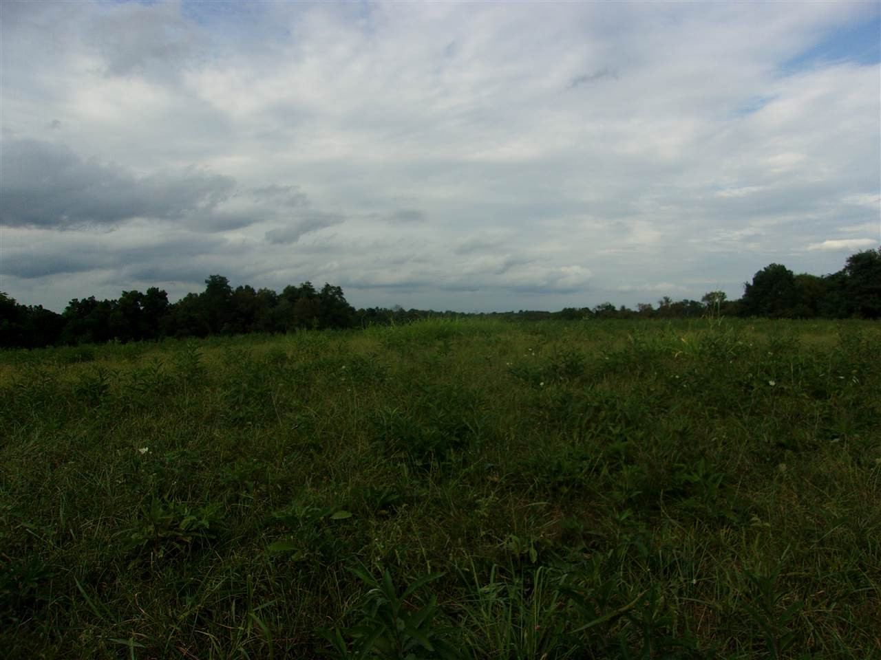 0 T T Wenz Road Dover, KY 41034 - Photo 31 of 35 Gallery Image 31