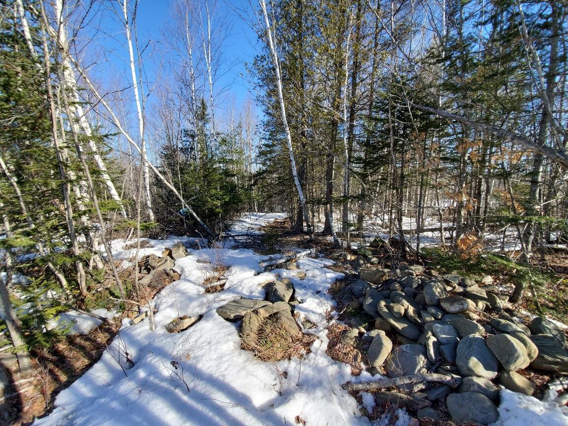 0 Hilltop Road Guilford, ME 04443 - Photo 5 of 14 20220323_092141_resized_1