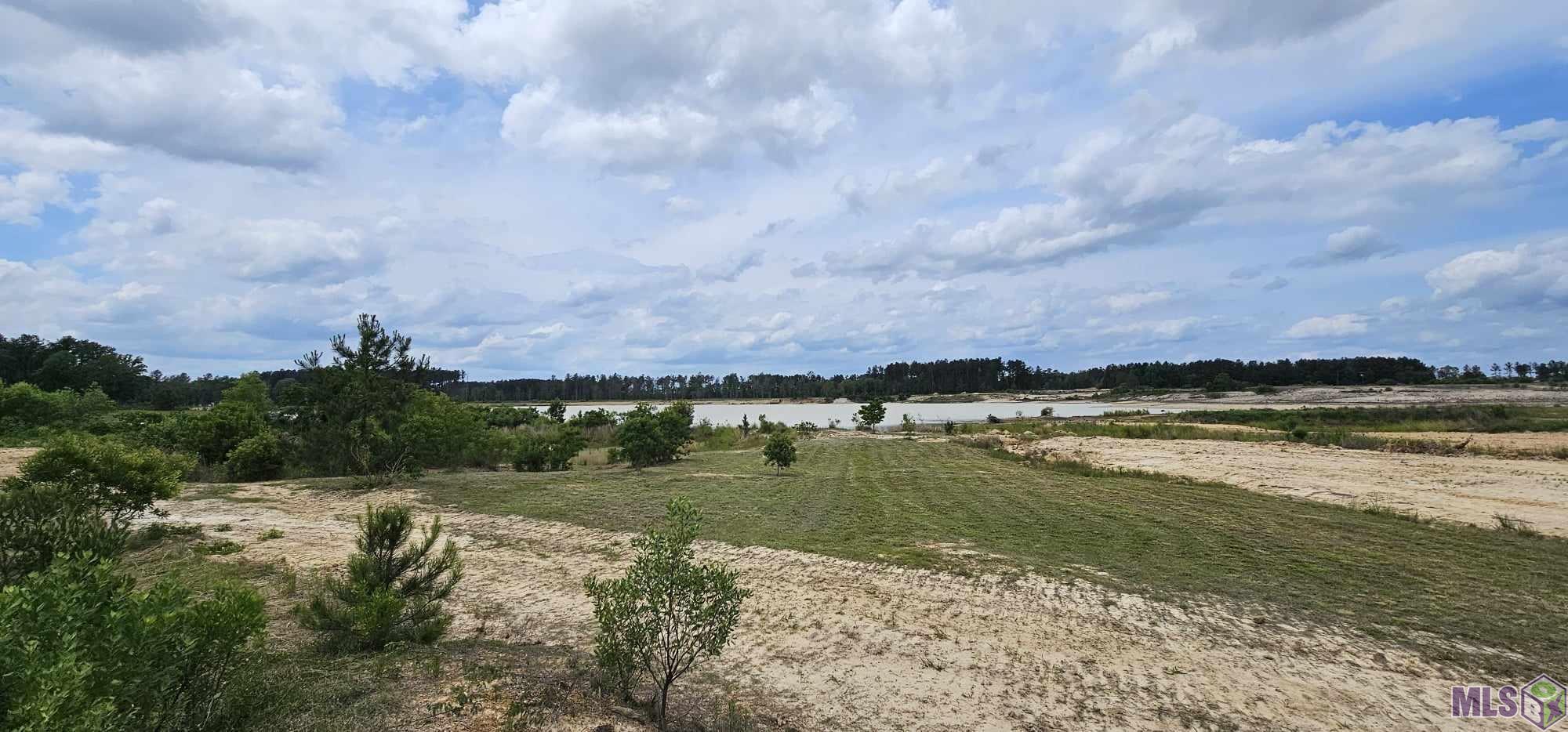 3270 Nesom Road Denham Springs, LA 70706 - Photo 1 of 27