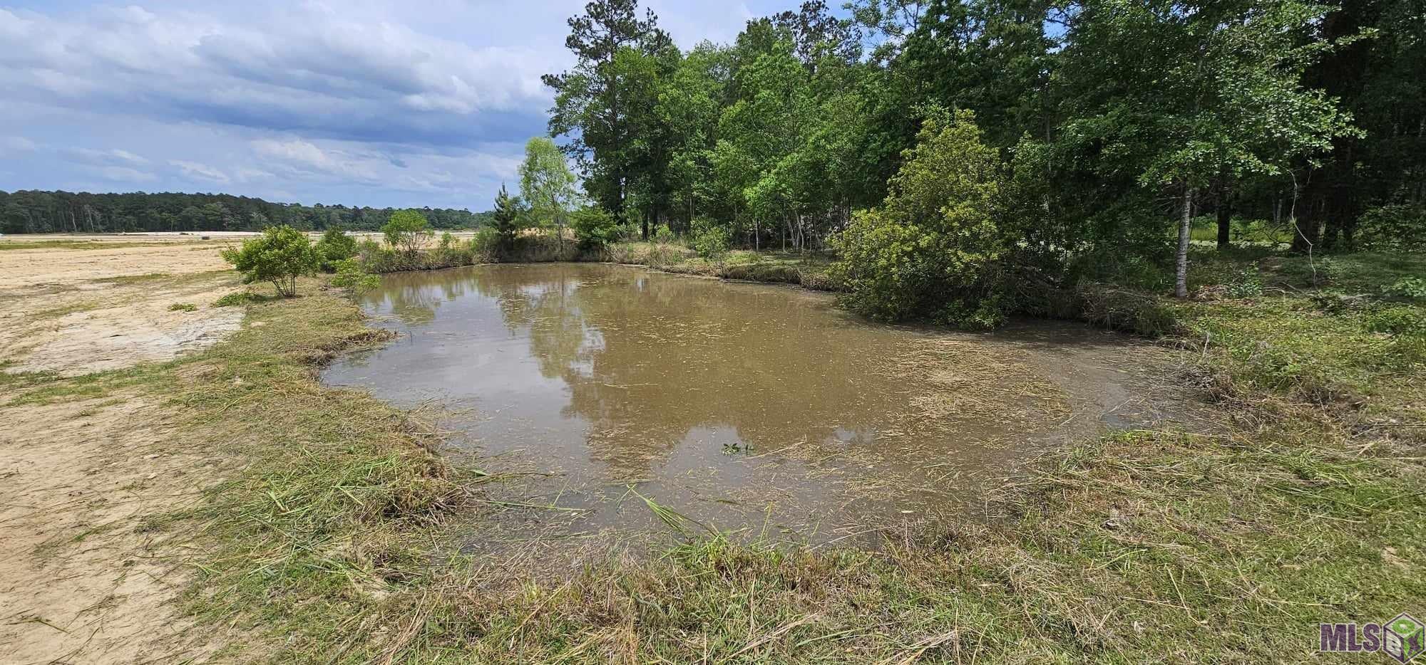 3270 Nesom Road Denham Springs, LA 70706 - Photo 12 of 27