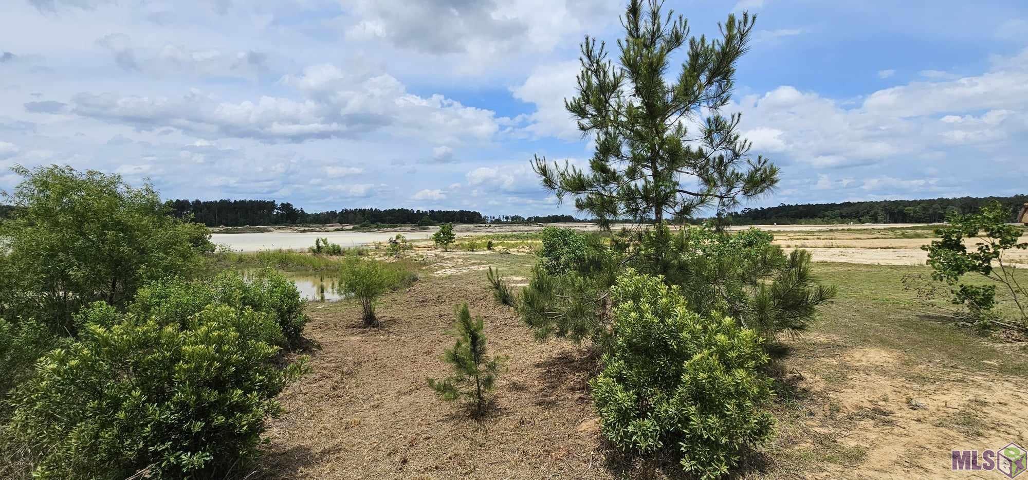 3270 Nesom Road Denham Springs, LA 70706 - Photo 13 of 27