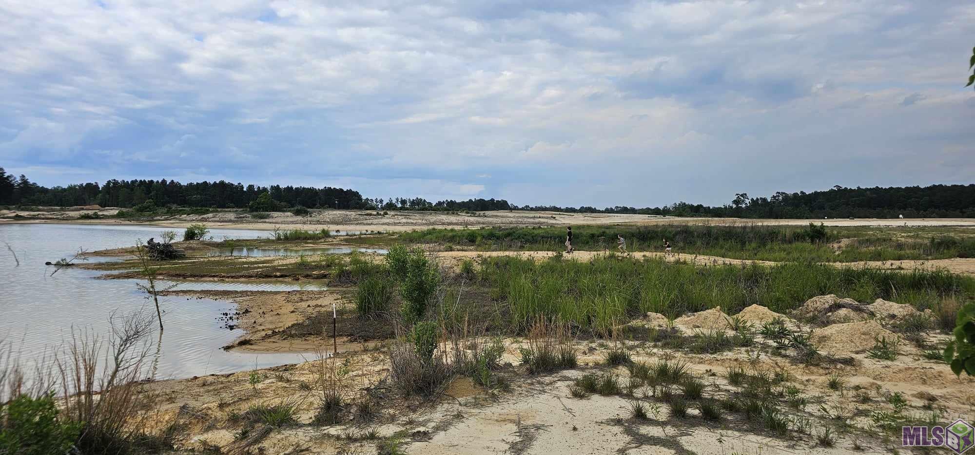 3270 Nesom Road Denham Springs, LA 70706 - Photo 14 of 27