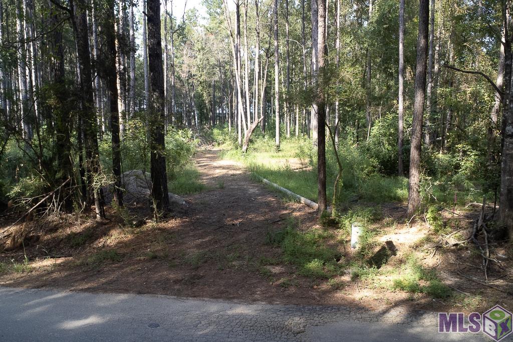 3270 Nesom Road Denham Springs, LA 70706 - Photo 23 of 27