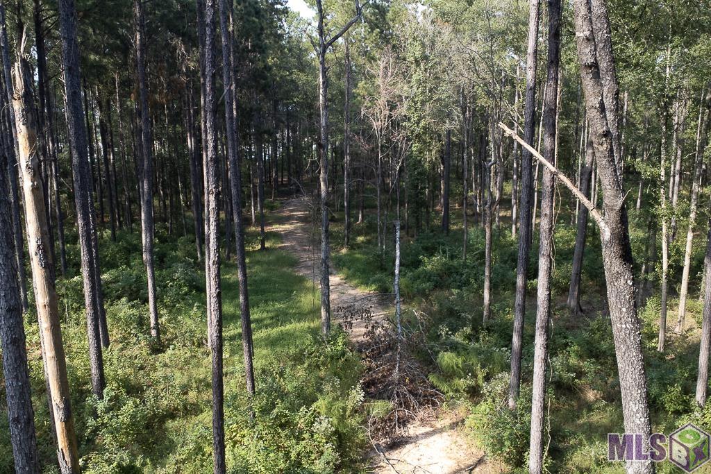 3270 Nesom Road Denham Springs, LA 70706 - Photo 24 of 27