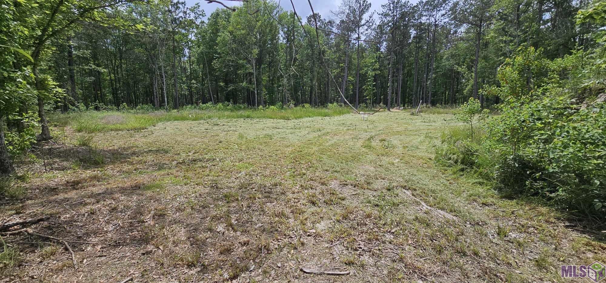 3270 Nesom Road Denham Springs, LA 70706 - Photo 3 of 27