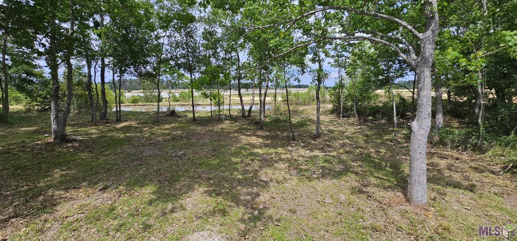 3270 Nesom Road Denham Springs, LA 70706 - Photo 4 of 27