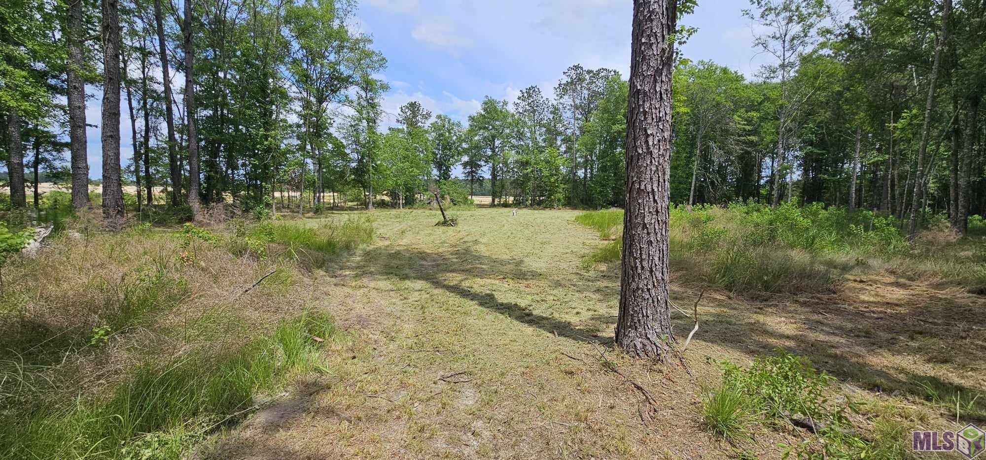 3270 Nesom Road Denham Springs, LA 70706 - Photo 5 of 27