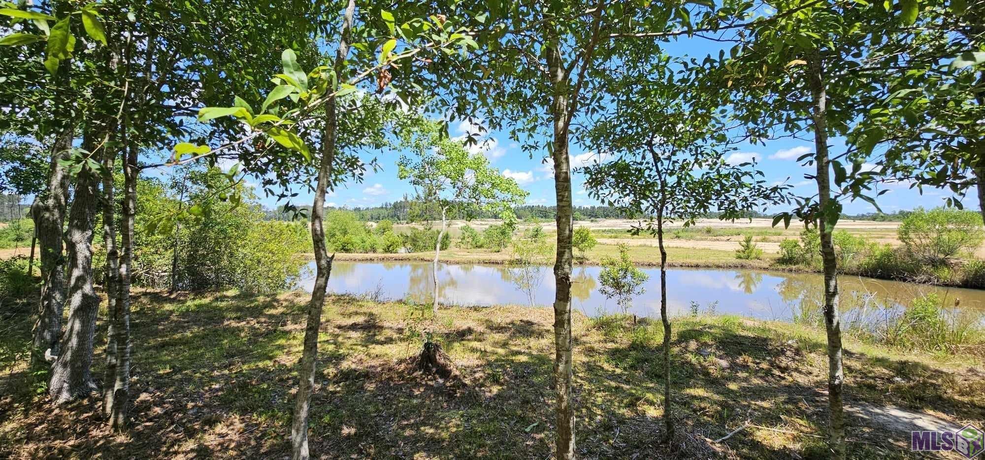 3270 Nesom Road Denham Springs, LA 70706 - Photo 6 of 27