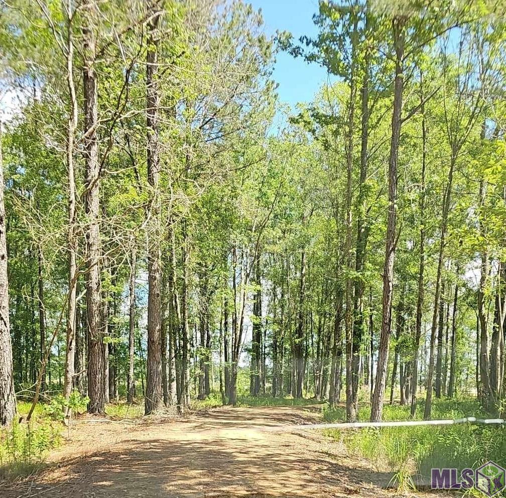 3270 Nesom Road Denham Springs, LA 70706 - Photo 7 of 27