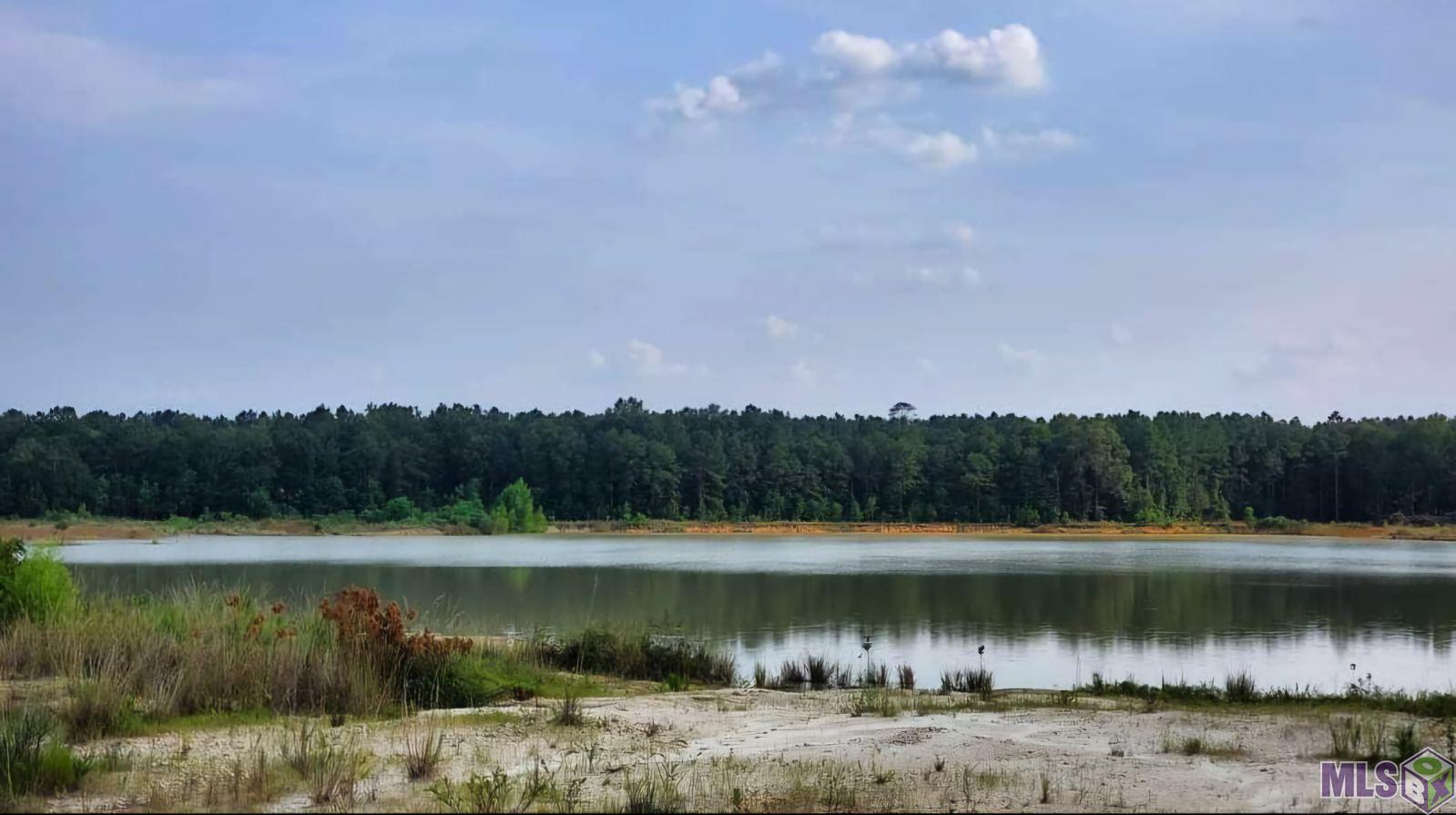 3270 Nesom Road Denham Springs, LA 70706 - Photo 8 of 27