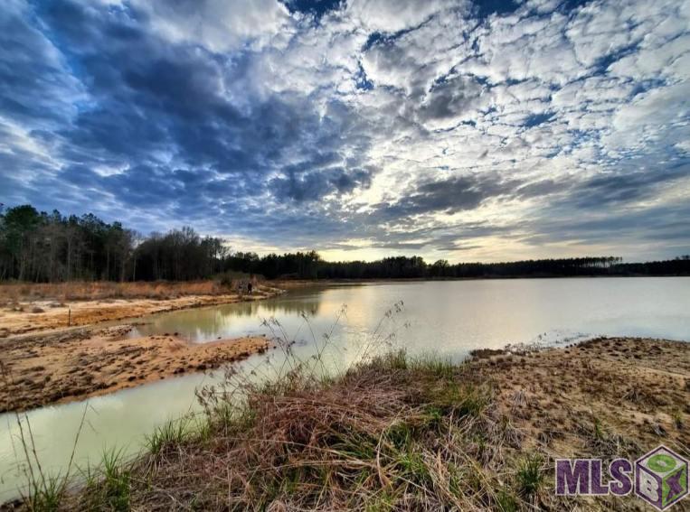 3270 Nesom Road Denham Springs, LA 70706 - Photo 9 of 27