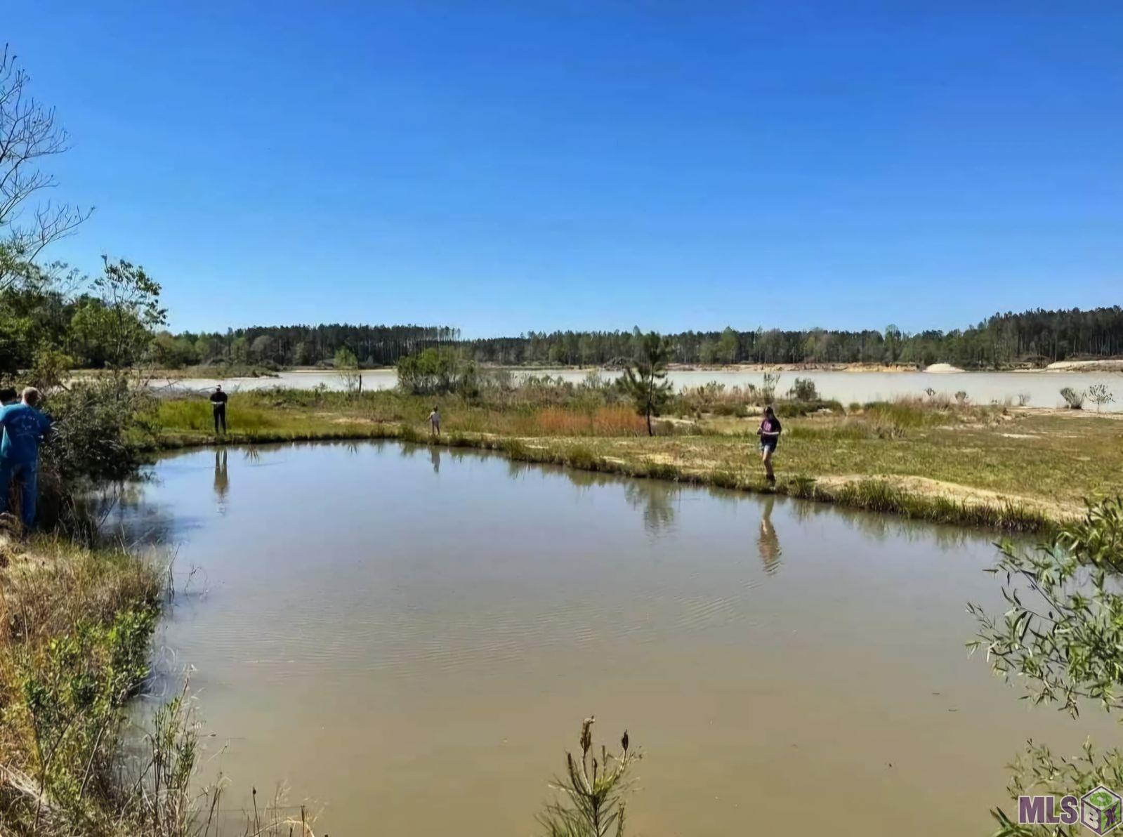 3270 Nesom Road Denham Springs, LA 70706 - Photo 10 of 27